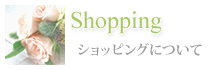 Shoping VbsOɂ